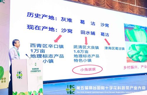小種子撬動大產業 第五屆邢臺國際十字花科蔬菜產業大會盛大啟帷，展現科技興農新圖景